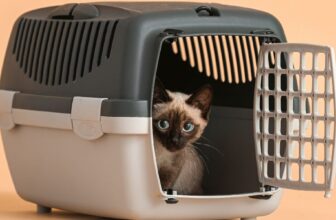 How Do You Choose the Right Cat Carrier for Travel?