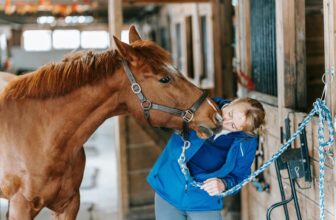 choosing horse halter and lead rope