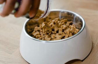 proper dog nutrition tips