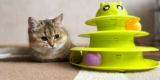 What Are the Most Engaging Cat Toys for Active Cats?